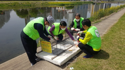 4.13 뉴트리아1.jpg