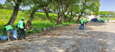 0_9bjUd018svc13gjhp4irc822_vfj7cv (1).jpeg