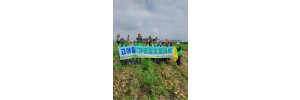 3_72bUd018svck7tx040jiylw_s873m4.jpg