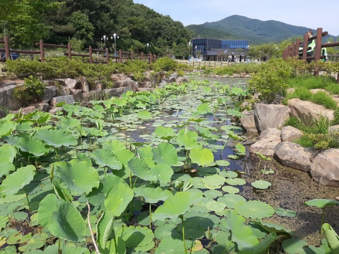 (사)자연보호칠곡군협의회_사진_20240606_5.jpg