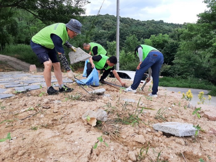 (사)자연보호칠곡군협의회_사진_20240706_3.jpg