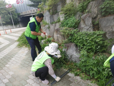 자연보호구미시협의회_사진_20240723_3.jpg