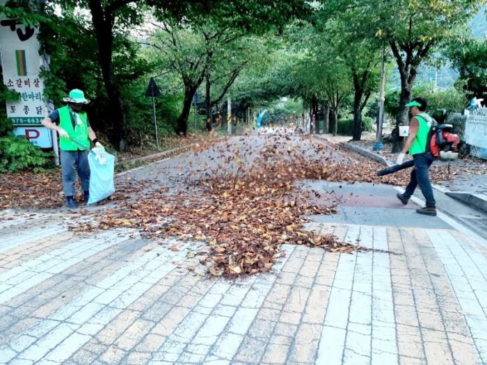 (사)자연보호칠곡군협의회_사진_20240909_2.jpg