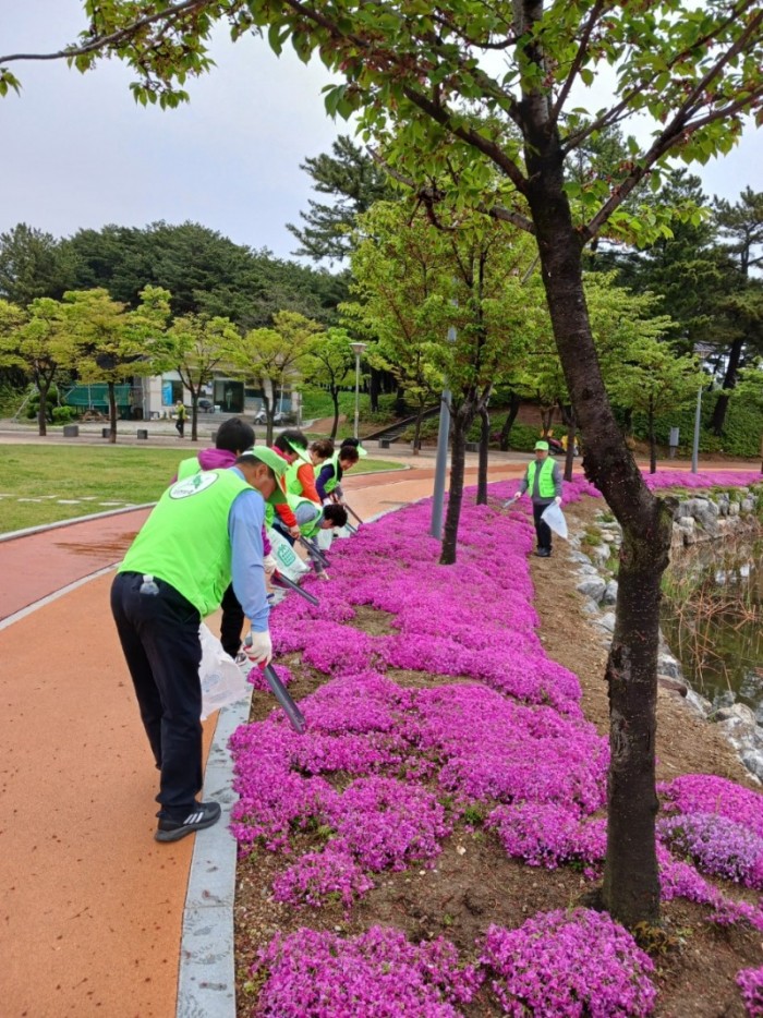 자연보호  경상북도협의회_사진_20240421_1.jpg