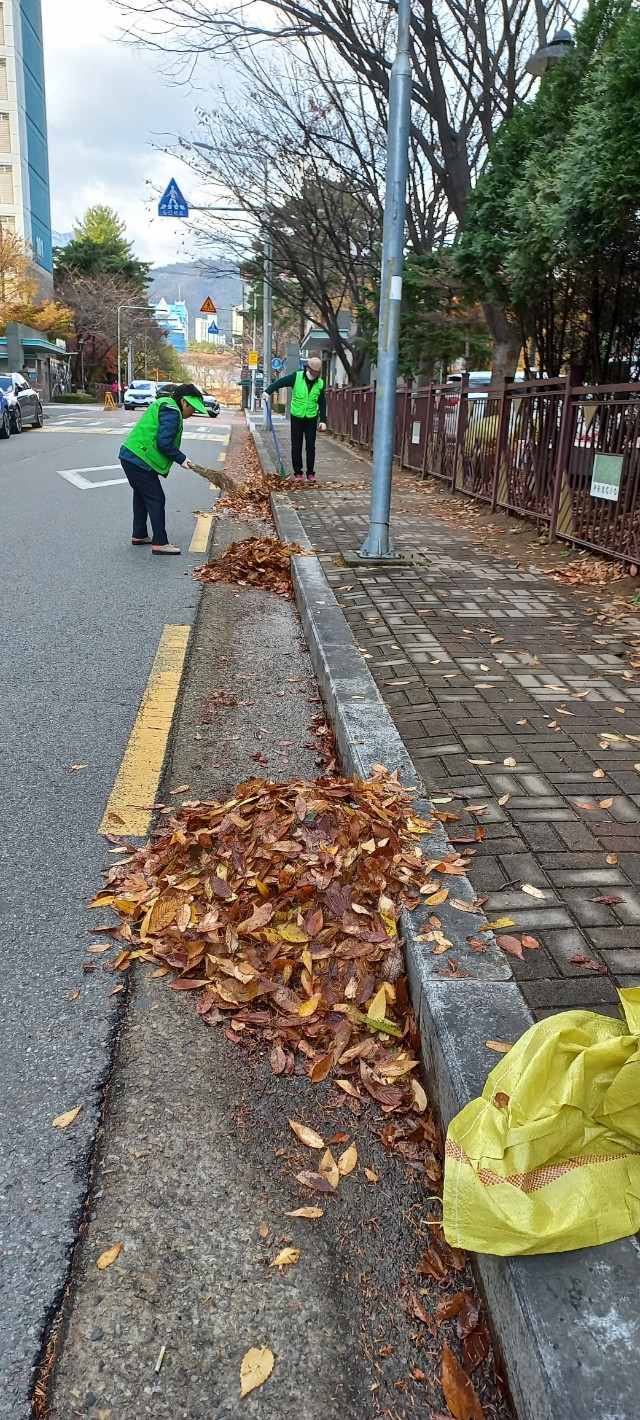 자연보호구미시협의회_사진_20241128_6.jpg