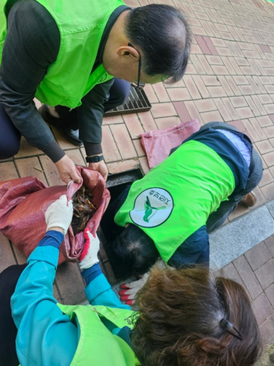 자연보호구미시협의회_사진_20250416_20.jpg