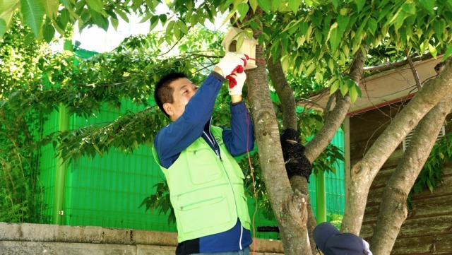 KakaoTalk_20250508_120858300_02.jpg