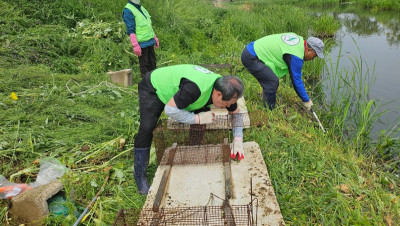 5.13 포획틀설치2.jpg