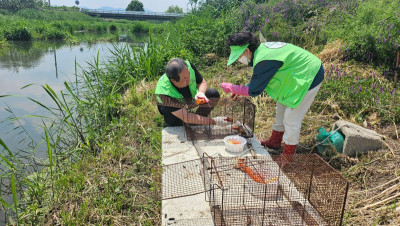 5.26 먹이교체1.jpg