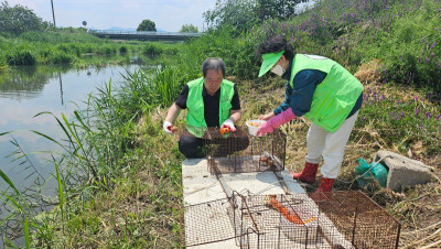 5.26 먹이교체2.jpg