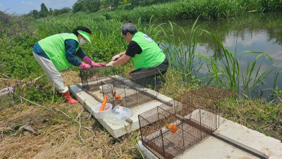 5.26 먹이교체3.jpg