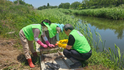 6.5 먹이교체3.jpg