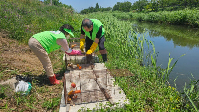 6.5 먹이교체1jpg.jpg