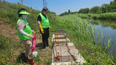 6.5 먹이교체2jpg.jpg