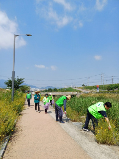 자연보호구미시협의회_사진_20250618_11.jpg