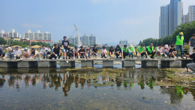 7.8 미꾸라지3.jpg