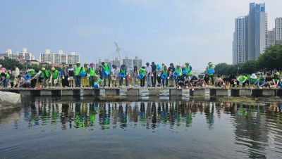 7.8 미꾸라지2.jpg