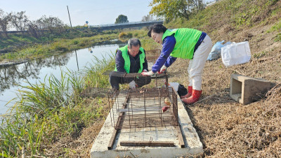 11.7 먹이교체2.jpg