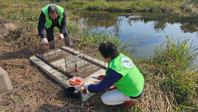 11.7 먹이교체4.jpg